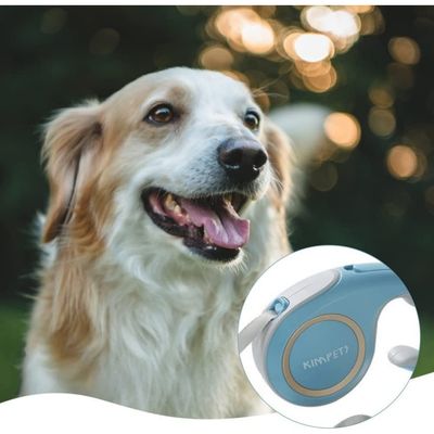 HausPets Laisse Chien Rétractable 3m Antidérapante Marche Camping Course
