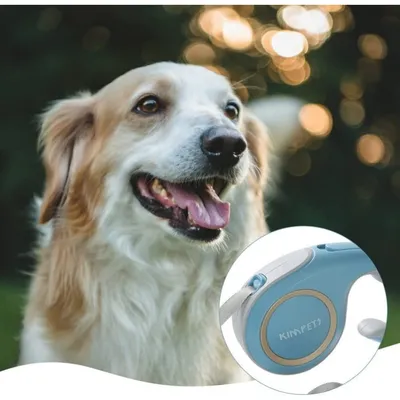 HausPets Laisse Chien Rétractable 3m Antidérapante Marche Camping Course HausPets Laisse Chien Rétractable 3m Antidérapante Marche Camping Course
