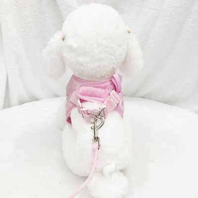 HausPets Harnachement pour chats et chiens taille XS