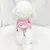HausPets Harnachement pour chats et chiens taille XS HausPets Harnachement pour chats et chiens taille XS