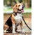 HausPets Laisse Chien Nylon Réfléchissante avec Poignée Confortable HausPets Laisse Chien Nylon Réfléchissante avec Poignée Confortable