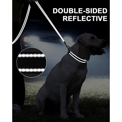 HausPets Laisse Chien Nylon Réfléchissante avec Poignée Confortable HausPets Laisse Chien Nylon Réfléchissante avec Poignée Confortable