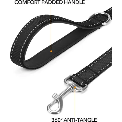 HausPets Laisse Chien Nylon Réfléchissante avec Poignée Confortable HausPets Laisse Chien Nylon Réfléchissante avec Poignée Confortable