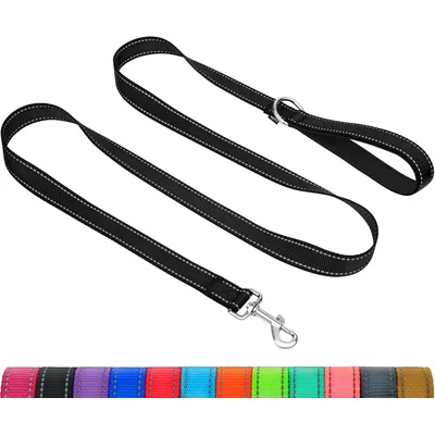 HausPets Laisse Chien Nylon Réfléchissante avec Poignée Confortable HausPets Laisse Chien Nylon Réfléchissante avec Poignée Confortable