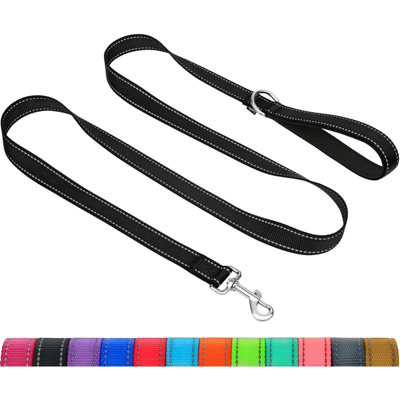 HausPets Laisse Chien Nylon Réfléchissante avec Poignée Confortable