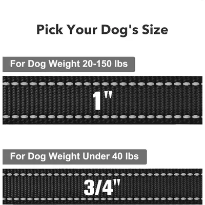 HausPets Laisse Chien Nylon Réfléchissante avec Poignée Confortable HausPets Laisse Chien Nylon Réfléchissante avec Poignée Confortable