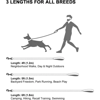 HausPets Laisse Chien Nylon Réfléchissante avec Poignée Confortable HausPets Laisse Chien Nylon Réfléchissante avec Poignée Confortable