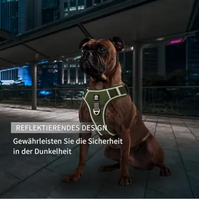 HausPets Harnais Chien Grande Taille Poignée Réfléchissant HausPets Harnais Chien Grande Taille Poignée Réfléchissant