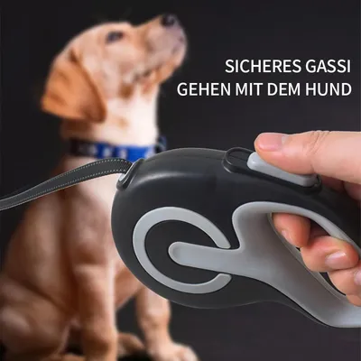 HausPets Laisse Chien Rétractable 5M LED Nuit Promenade Randonnée Plage HausPets Laisse Chien Rétractable 5M LED Nuit Promenade Randonnée Plage