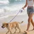 HausPets Laisse Chien Rétractable 5M LED Nuit Promenade Randonnée Plage HausPets Laisse Chien Rétractable 5M LED Nuit Promenade Randonnée Plage