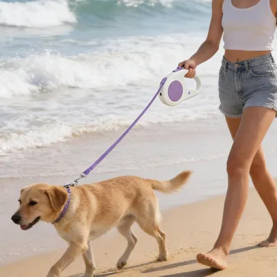 HausPets Laisse Chien Rétractable 5M LED Nuit Promenade Randonnée Plage HausPets Laisse Chien Rétractable 5M LED Nuit Promenade Randonnée Plage