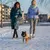 HausPets 2 brosses toilettage silicone chien chat