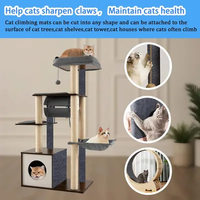 HausPets Laisse Chien Rétractable 5M Nylon Jaune Légère et Pratique HausPets Laisse Chien Rétractable 5M Nylon Jaune Légère et Pratique