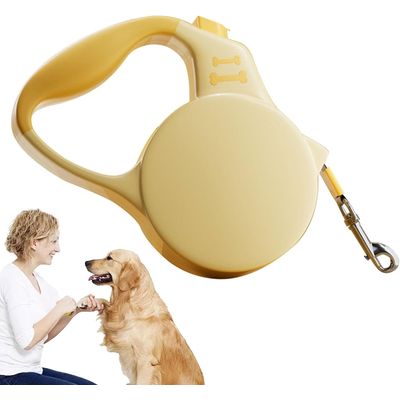 HausPets Laisse Chien Rétractable 5M Blanc Frein Une Main Verrouillage
