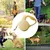 HausPets Laisse Chien Rétractable 5M Blanc Frein Une Main Verrouillage HausPets Laisse Chien Rétractable 5M Blanc Frein Une Main Verrouillage