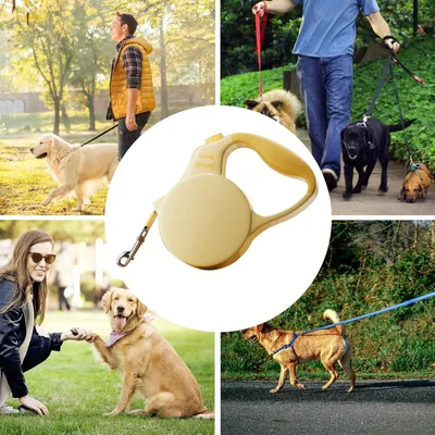 HausPets Laisse Chien Rétractable 5M Blanc Frein Une Main Verrouillage HausPets Laisse Chien Rétractable 5M Blanc Frein Une Main Verrouillage
