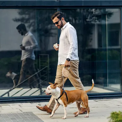 HausPets Hunde-Rollleine 5M Weiß Einhandbremse Arretierung HausPets Hunde-Rollleine 5M Weiß Einhandbremse Arretierung