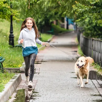 HausPets Hunde-Rollleine 5M Weiß Einhandbremse Arretierung HausPets Hunde-Rollleine 5M Weiß Einhandbremse Arretierung