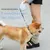 HausPets Hunde-Rollleine 5M Anti-Verwicklung Ergonomisch Blau Rosa HausPets Hunde-Rollleine 5M Anti-Verwicklung Ergonomisch Blau Rosa
