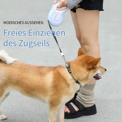 HausPets Hunde-Rollleine 5M Anti-Verwicklung Ergonomisch Blau Rosa HausPets Hunde-Rollleine 5M Anti-Verwicklung Ergonomisch Blau Rosa