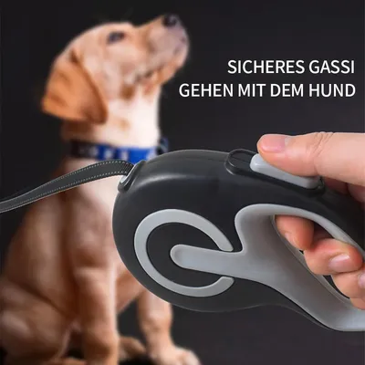 HausPets Hunde-Rollleine 5M Anti-Verwicklung Ergonomisch Blau Rosa HausPets Hunde-Rollleine 5M Anti-Verwicklung Ergonomisch Blau Rosa