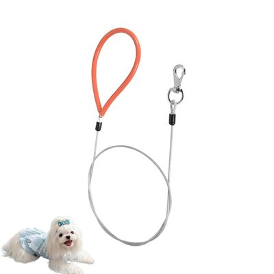 HausPets Bissfeste Stahlleine, orange, robust
