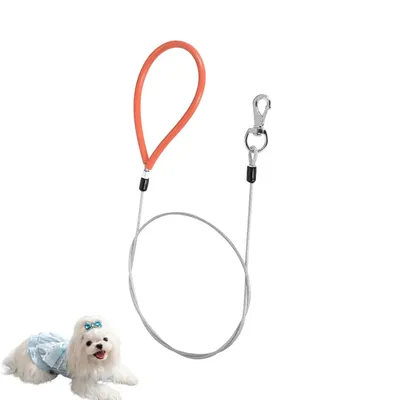HausPets Laisse acier anti-morsure orange robuste HausPets Laisse acier anti-morsure orange robuste