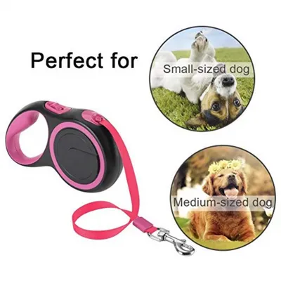 HausPets Laisse Rétractable pour Chien Robuste