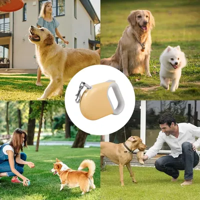 HausPets Hunde-Rollleine 5M ABS Nylon Kompakt Leicht Rutschfest HausPets Hunde-Rollleine 5M ABS Nylon Kompakt Leicht Rutschfest