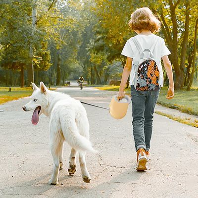 HausPets Laisse Chien Rétractable 5M ABS Nylon Compacte Légère