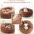 HausPets Laisse Chien Rétractable Auto 3M/5M Vert Promenade Randonnée Petit HausPets Laisse Chien Rétractable Auto 3M/5M Vert Promenade Randonnée Petit