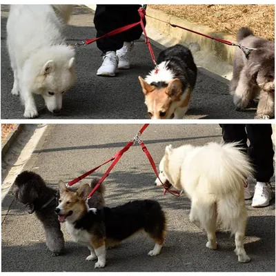 3-way dog leash: tangle-free, coupler, adjustable for 1-3 dogs 3-way dog leash: tangle-free, coupler, adjustable for 1-3 dogs
