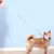 HausPets Laisse Chien Rétractable 5M 50kg Sans Nœuds Blanc HausPets Laisse Chien Rétractable 5M 50kg Sans Nœuds Blanc