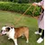 HausPets Laisse coulissante Ø12mm 185cm orange