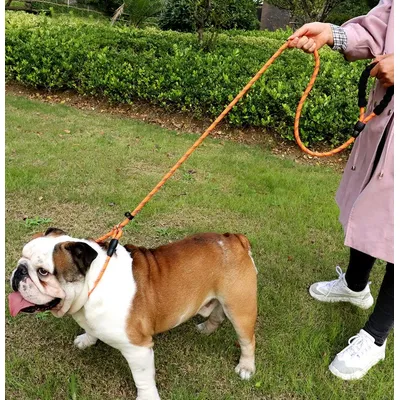 HausPets Laisse coulissante Ø12mm 185cm orange