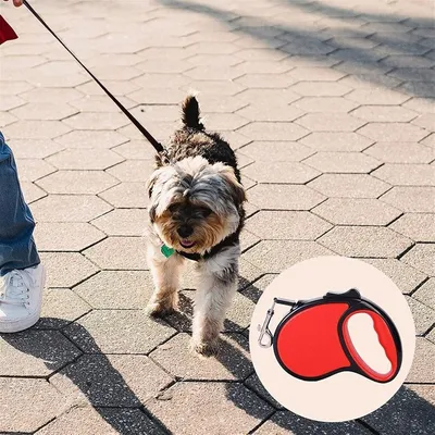 HausPets Laisse Chien Rétractable 3M Rouge Ergonomique Anti-Nœuds HausPets Laisse Chien Rétractable 3M Rouge Ergonomique Anti-Nœuds