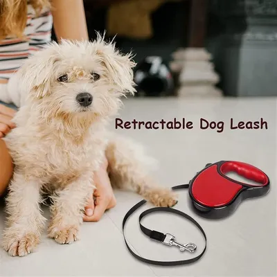 HausPets Laisse Chien Rétractable 3M Rouge Ergonomique Anti-Nœuds HausPets Laisse Chien Rétractable 3M Rouge Ergonomique Anti-Nœuds