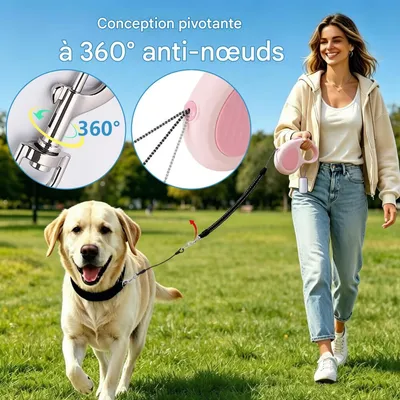 HausPets Corde de Traction à extension automatique pour chiens HausPets Corde de Traction à extension automatique pour chiens