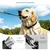 HausPets Corde de Traction à extension automatique pour chiens HausPets Corde de Traction à extension automatique pour chiens