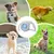 HausPets Laisse Chien Rétractable 5M Nylon Antidérapante Légère Petit Chien HausPets Laisse Chien Rétractable 5M Nylon Antidérapante Légère Petit Chien