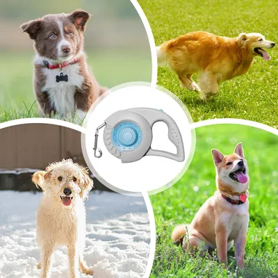 HausPets Laisse Chien Rétractable 5M Nylon Antidérapante Légère Petit Chien HausPets Laisse Chien Rétractable 5M Nylon Antidérapante Légère Petit Chien