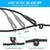 HausPets Laisse coulissante 150cm sans collier HausPets Laisse coulissante 150cm sans collier
