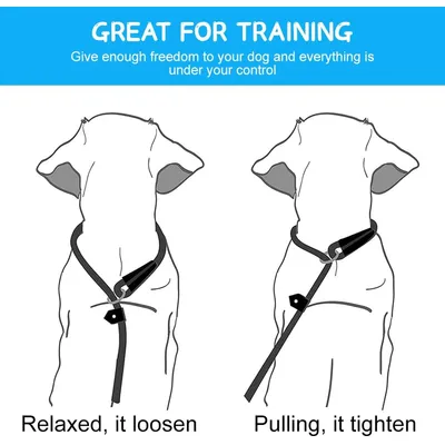 HausPets Laisse coulissante 150cm sans collier HausPets Laisse coulissante 150cm sans collier