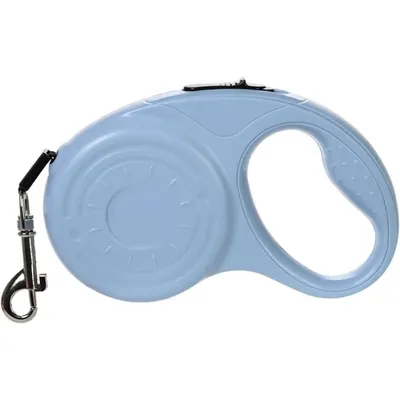 HausPets Laisse Chien Rétractable 3M/5M Verte Petit Moyen Chien Randonnée HausPets Laisse Chien Rétractable 3M/5M Verte Petit Moyen Chien Randonnée