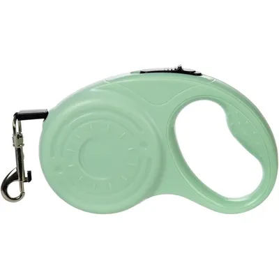 HausPets Laisse Chien Rétractable 3M/5M Verte Petit Moyen Chien Randonnée HausPets Laisse Chien Rétractable 3M/5M Verte Petit Moyen Chien Randonnée