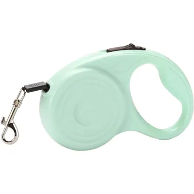 HausPets Laisse Chien Rétractable 3M/5M Verte Petit Moyen Chien Randonnée HausPets Laisse Chien Rétractable 3M/5M Verte Petit Moyen Chien Randonnée