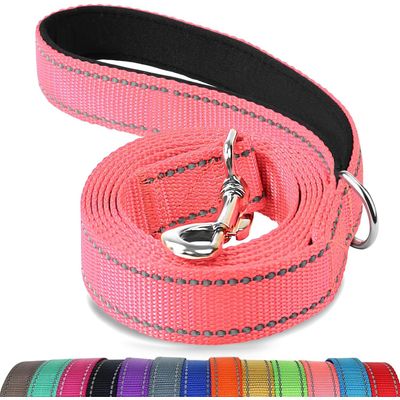 HausPets Laisse chien réfléchissante 1,5m turquoise