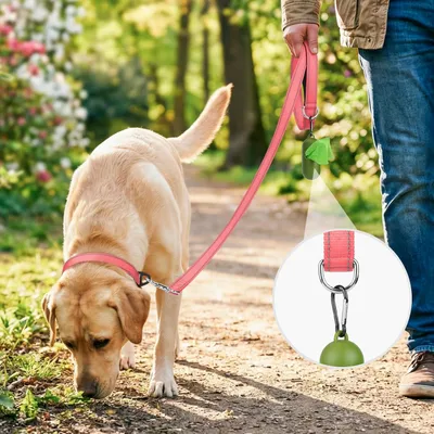 HausPets Laisse chien réfléchissante 1,5m turquoise HausPets Laisse chien réfléchissante 1,5m turquoise