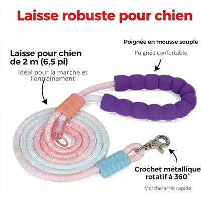 HausPets Laisse lasso 2m corde escalade rose/bleu HausPets Laisse lasso 2m corde escalade rose/bleu