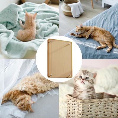 HausPets Laisse Chien Rétractable 5M Bleue Ergonomique Anti-Nœuds